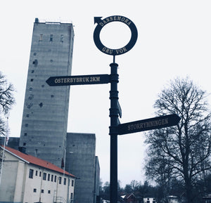 Dannemora: ett gruvsamhälles historia